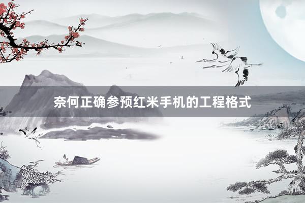 奈何正确参预红米手机的工程格式